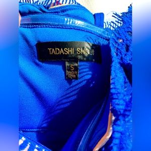 Tasashi Shoji gorgeous blue gown. Lace and non stretch fabric.